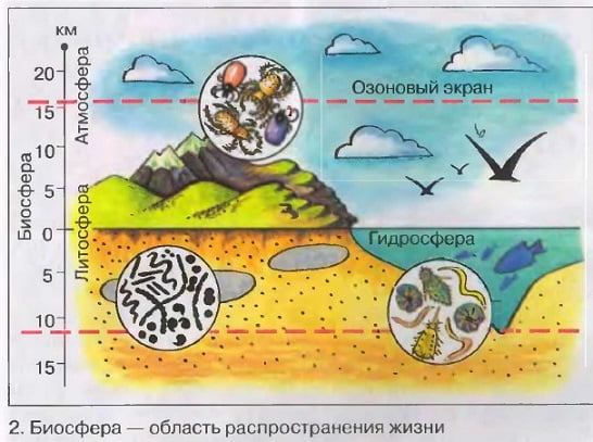 Биосфера — область распространения жизни