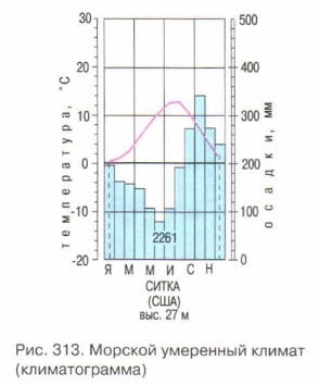 Морской умеренный климат