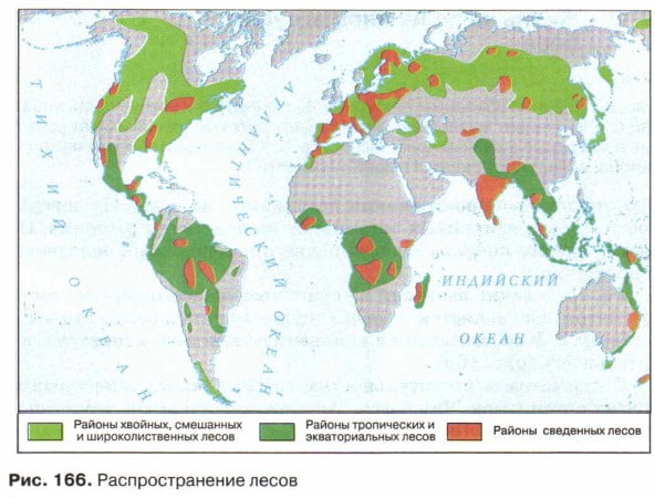 Распространение лесов