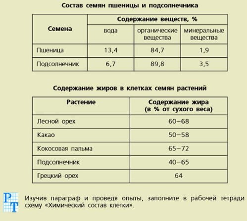 Состав семян пшеницы и подсолнечника