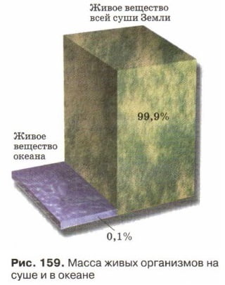 Масса живых организмов на суше и в океане