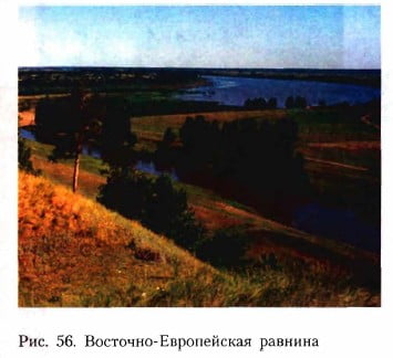 Восточно-Европейская равнина