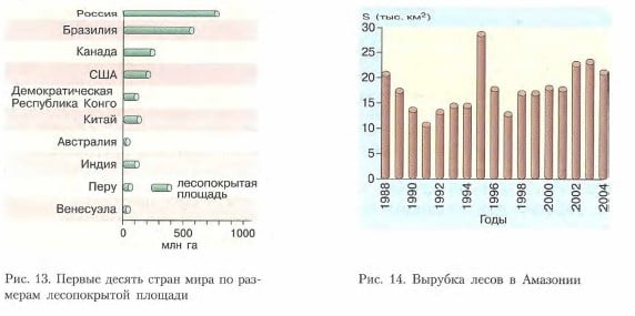 Вырубка лесов в Амазонии