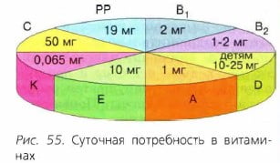 Суточная потребность в витаминах