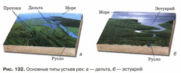 Дельта это. Типы устьев Дельта эстуарий. Дельта и эстуарий реки. Устье реки Дельта и эстуарий. Схема реки Дельта и эстуарий.